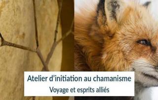 banniere-atelier_atelier-decouverte-gite-la-hulotte-broceliande