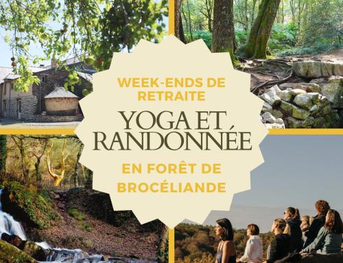 Yoga et randonnée – week-ends de juin à novembre 2026 – Gîte La Hulotte en Brocéliande